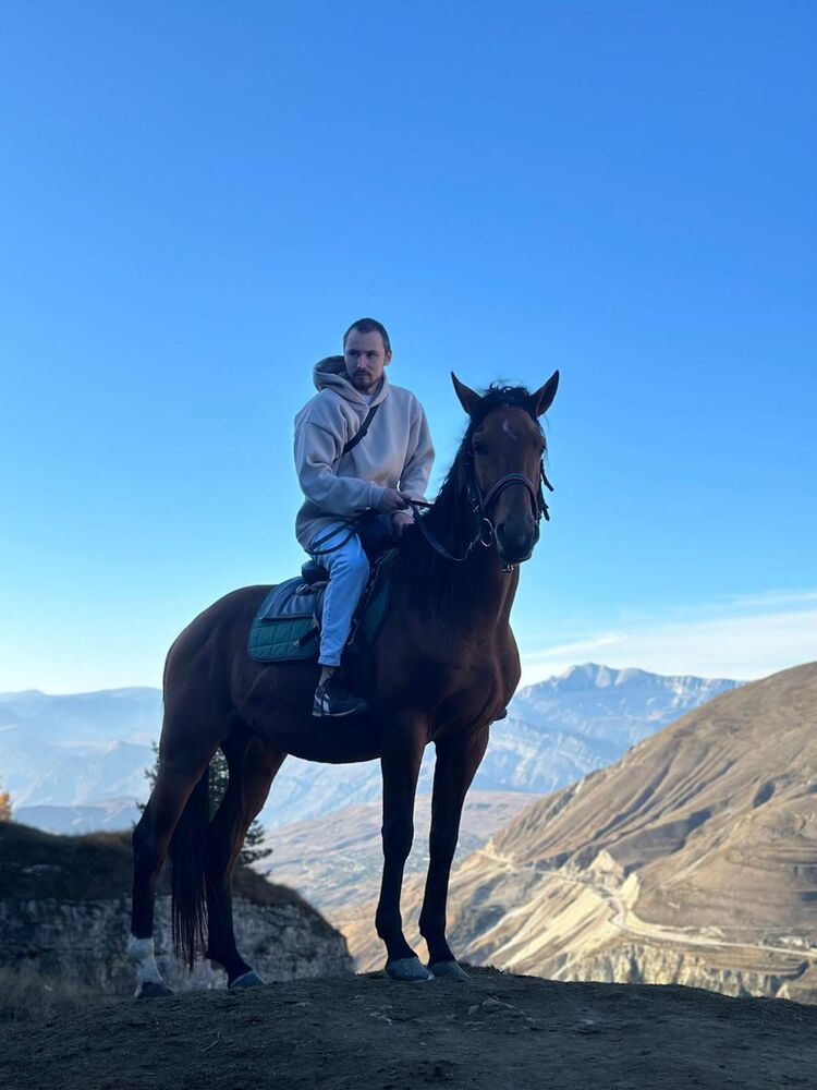  41969183  , 28 ,    -