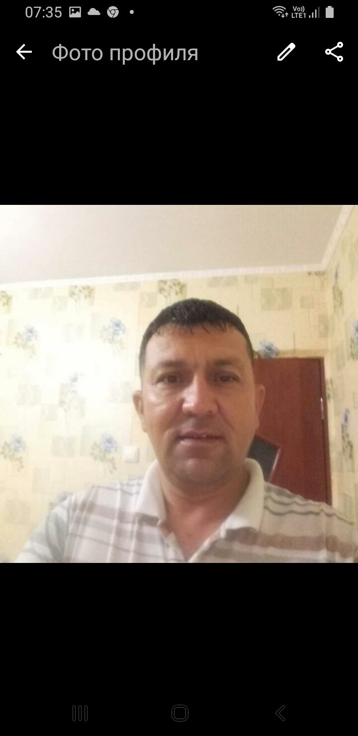  43233953  , 47 ,    