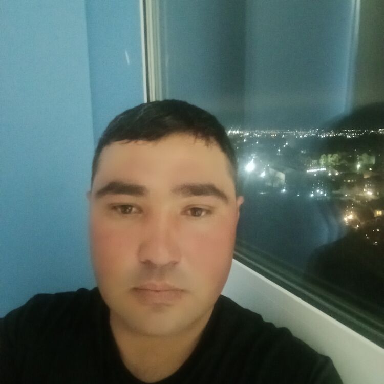  50630193  , 33 ,     