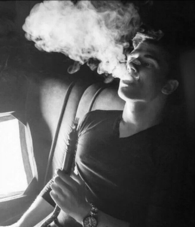 ���� 31376463 ������� Artur, 41 ���, ���� ���������� � �������