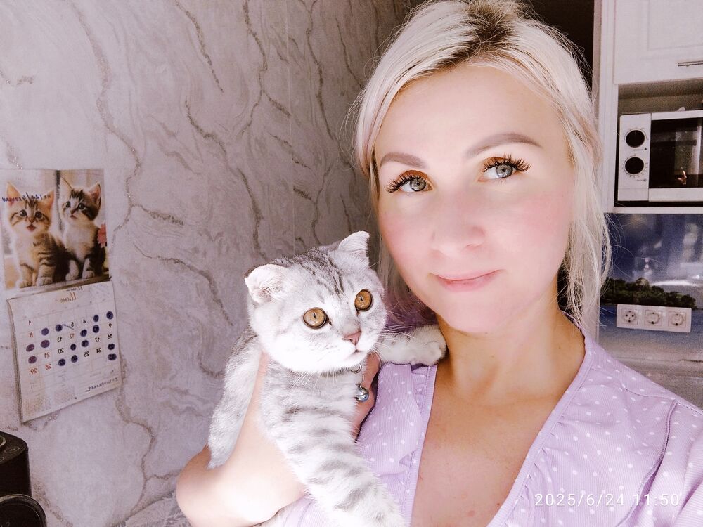  53441773  , 40 ,    --