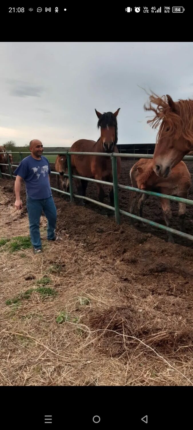 ���������� �����-���������, ���� ������� �a���, 44 ����, ������������ ��� c�������� ���������