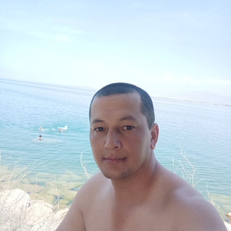  51425923   , 35 ,    -