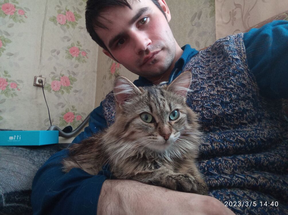 ���� 37854163 ������� �������, 29 ���, ���� ���������� � ������������