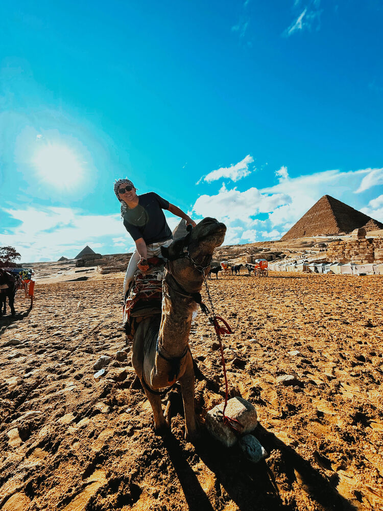 ���� 56177923 ������� �����, 29 ���, ���� ���������� � �����