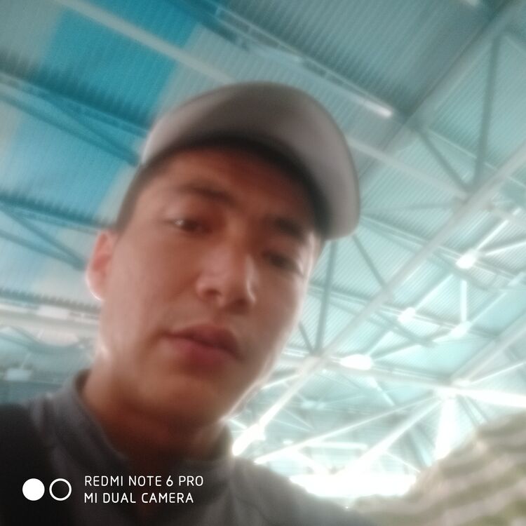 ���� 23345133 ������� ����, 31 ���, ���� ���������� � �������