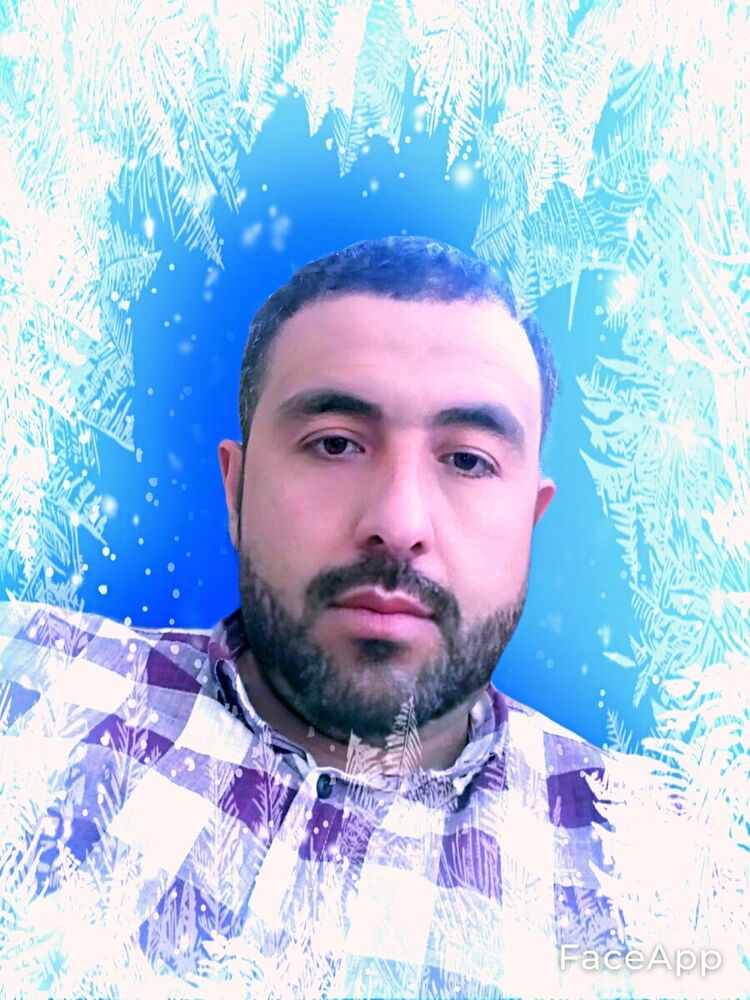  ,   TOY, 41 ,   ,   