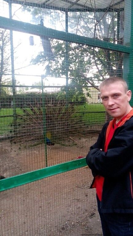 ���������� �����, ���� ������� ����, 41 ���, ������������ ��� ������, ����� � ���������, c�������� ���������