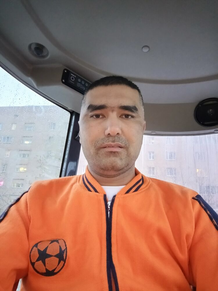  43128343  , 33 ,    -