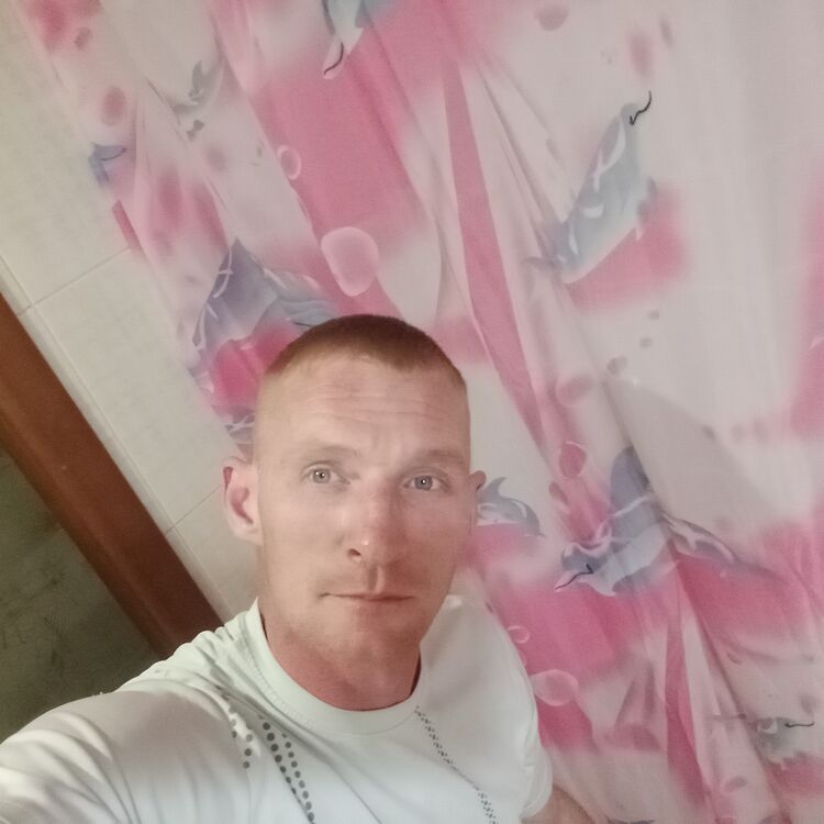  46727933  , 36 ,    