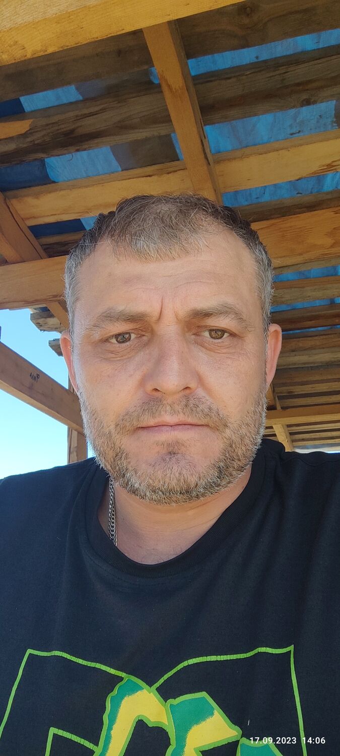  43439793  , 43 ,    