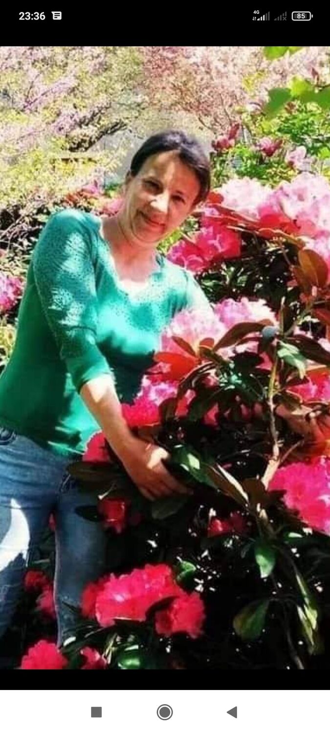  ,   , 46 ,   ,   