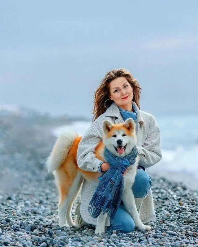 ���� 55548583 ������� �����, 66 ���, ���� ���������� � ������