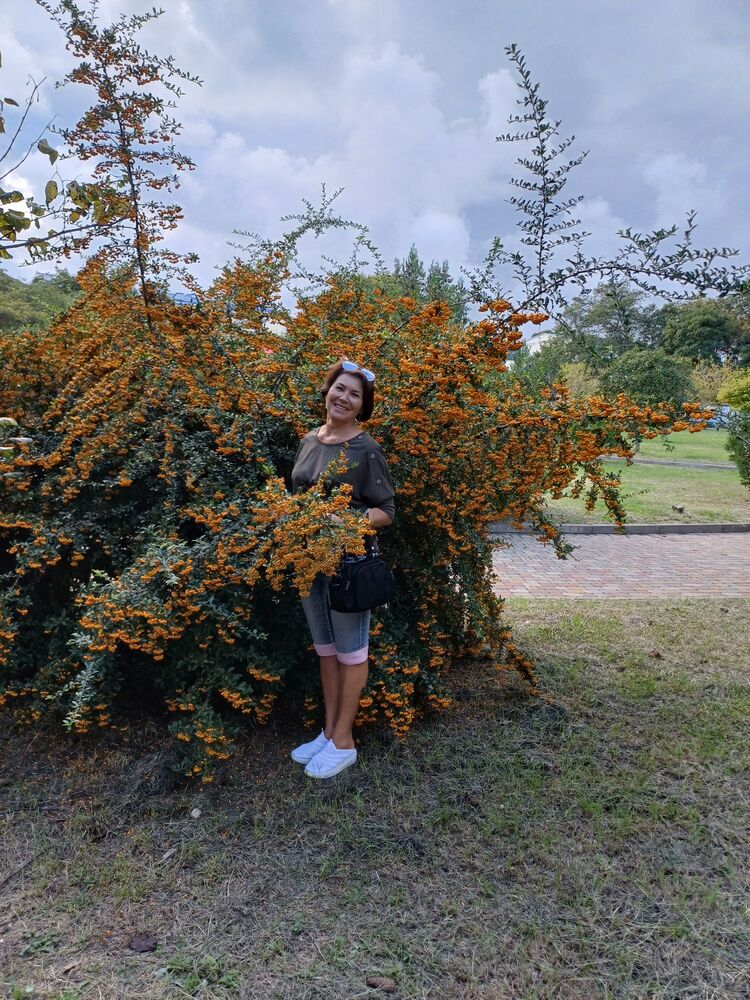  ,   , 61 ,   c 