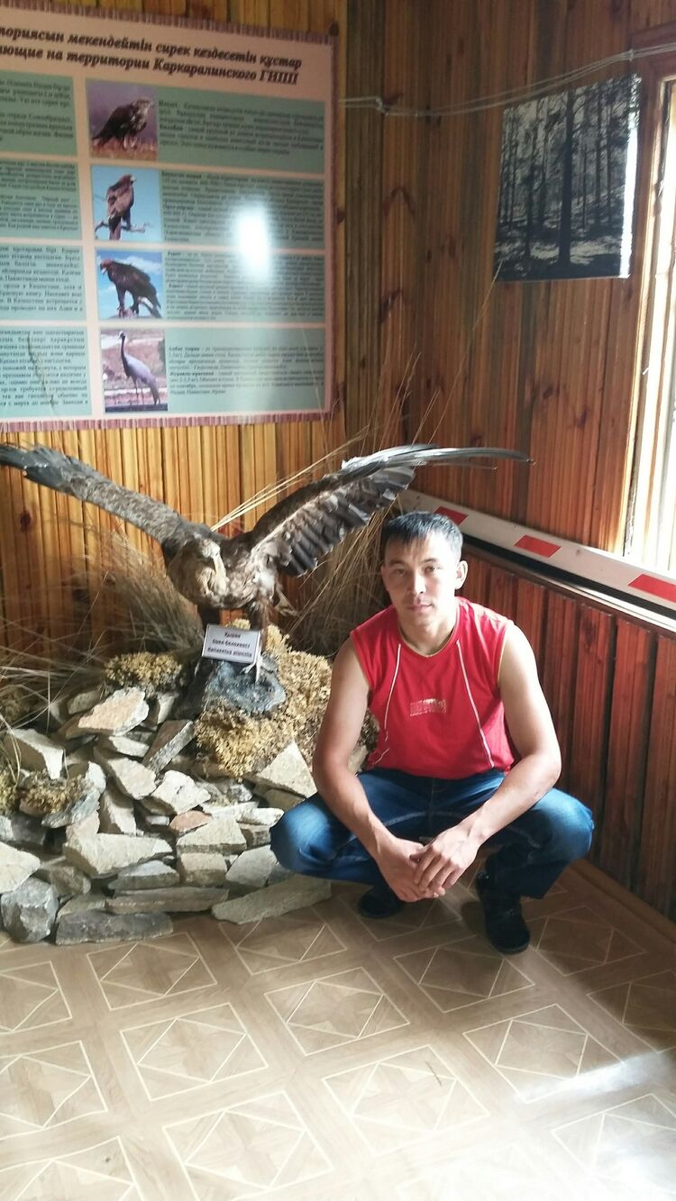 ���� 23339833 ������� �����, 37 ���, ���� ���������� � ������