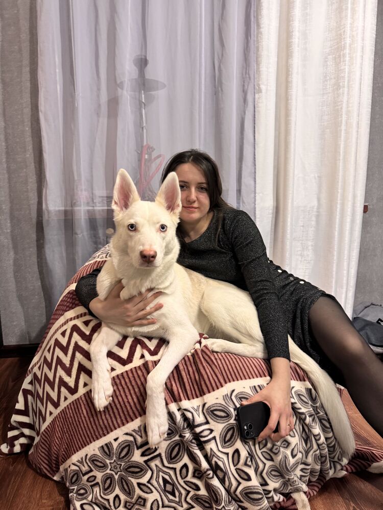 ���������� �������, ���� ������� ������, 28 ���, ������������ 