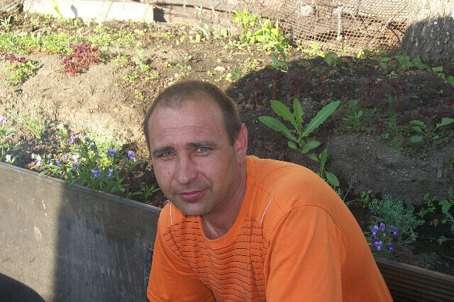  ,   , 50 ,     , c 