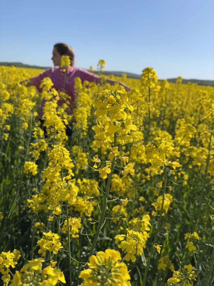 ���� 56260473 ������� ������, 38 ���, ���� ���������� � �����