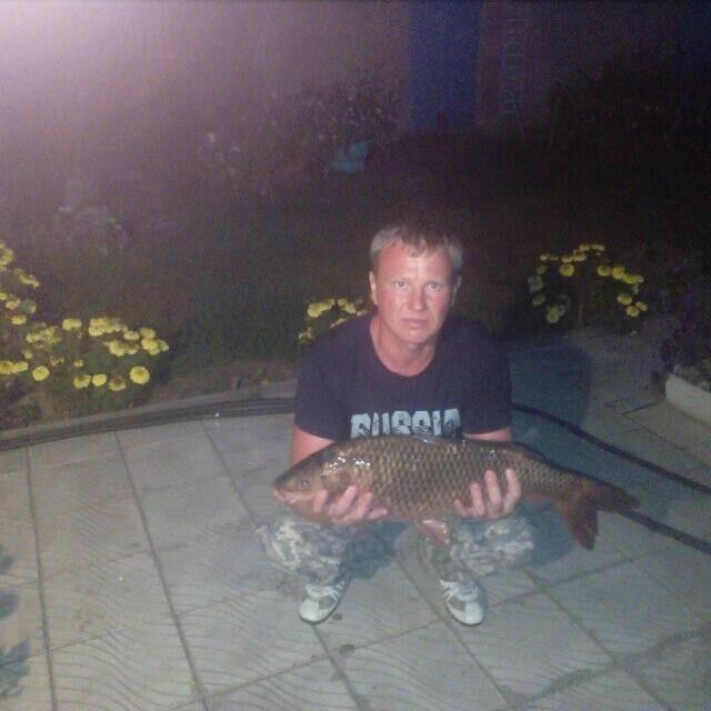 ���� 15212713 ������� ���������, 49 ���, ���� ���������� � ������������