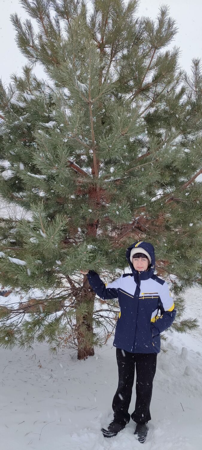 ���� 55339933 ������� ����, 53 ����, ���� ���������� � �����