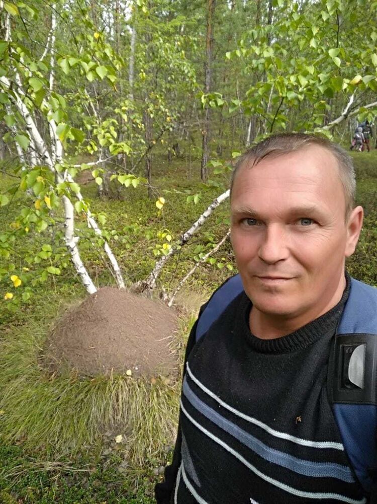 ���� 19288173 ������� �������, 46 ���, ���� ���������� � �������