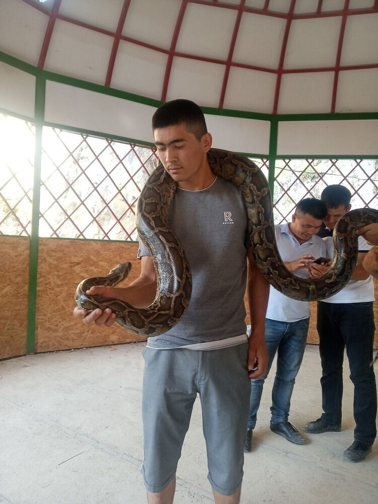 ���������� ��, ���� ������� ���, 28 ���, ������������ ��� ����� � ���������, c�������� ���������