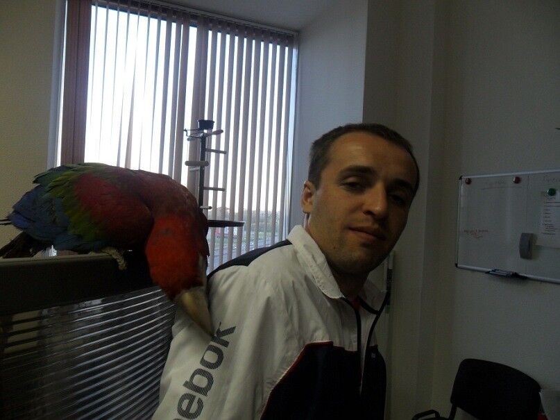 ���������� ������, ���� ������� ���, 41 ���, ������������ ��� ������, ����� � ���������, c�������� ���������