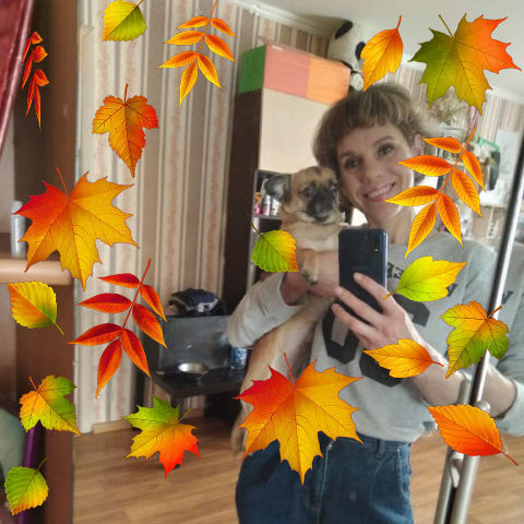  ,   , 46 ,   ,   
