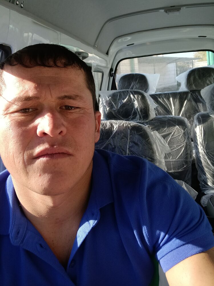 ���� 31981253 ������� �����, 34 ����, ���� ���������� � �������-��-����