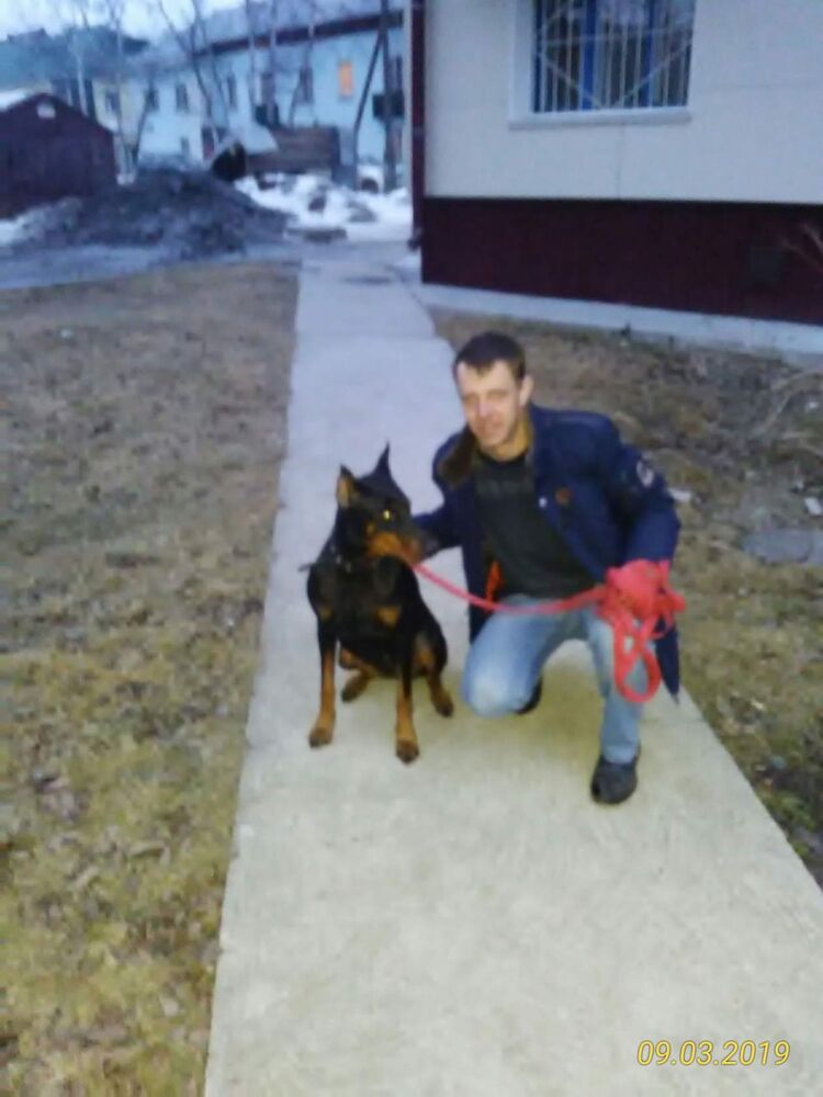 ���������� ����-���������, ���� ������� ���������, 34 ����, ������������ ��� ������, ����� � ���������