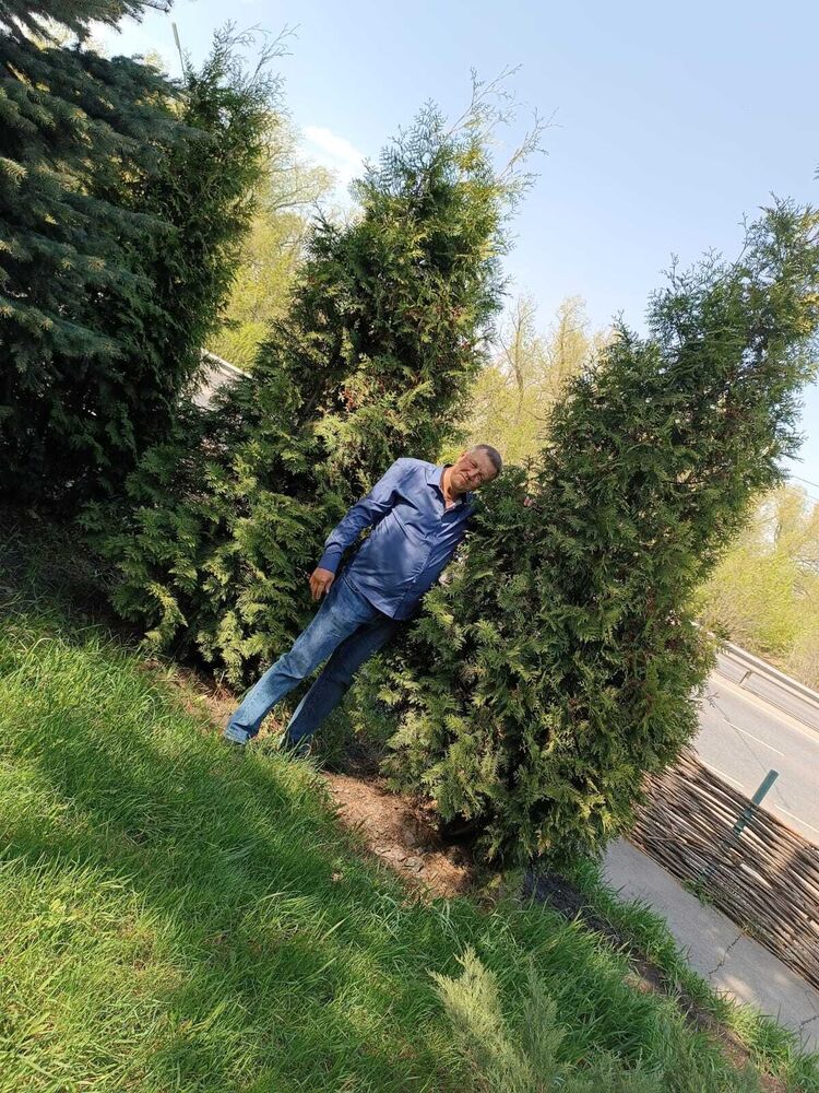 ���������� ���������, ���� ������� ��������, 56 ���, ������������ ��� ������, ����� � ���������