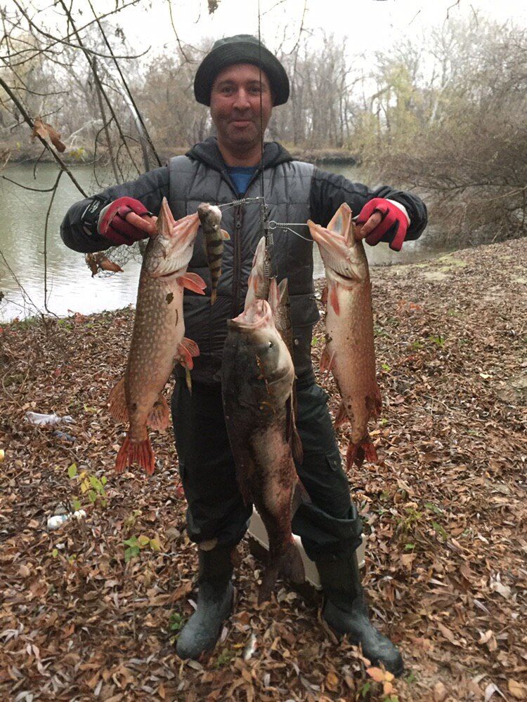  ,   Vladislav, 45 ,   ,   