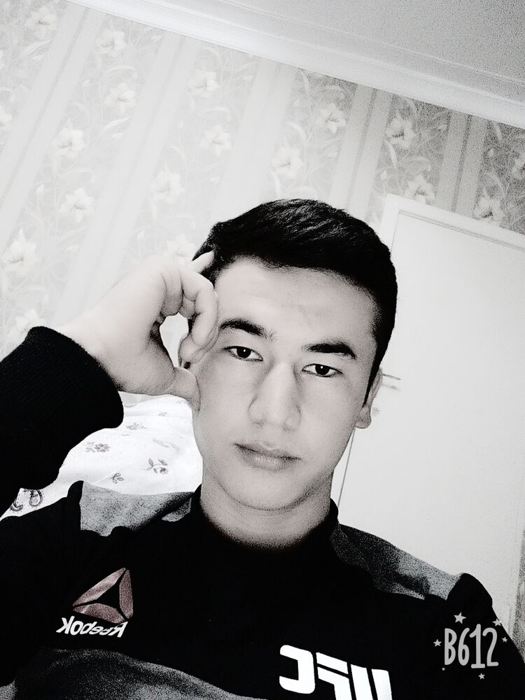 ���� 31282443 ����� ���������, 24 ����, ���� ���������� � ������