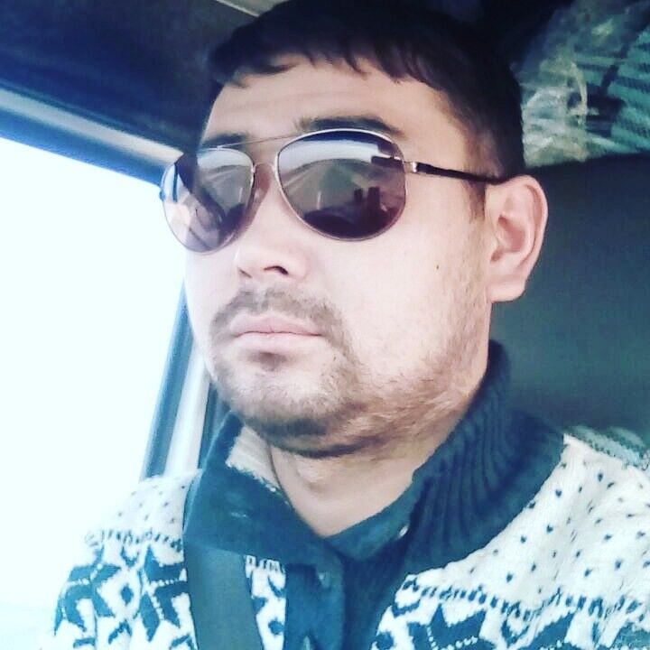 ���� 17804933 ������� ������, 38 ���, ���� ���������� � �������