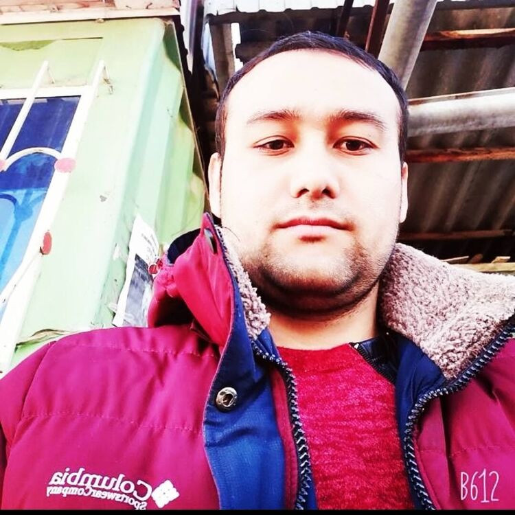  31874783  , 38 ,    
