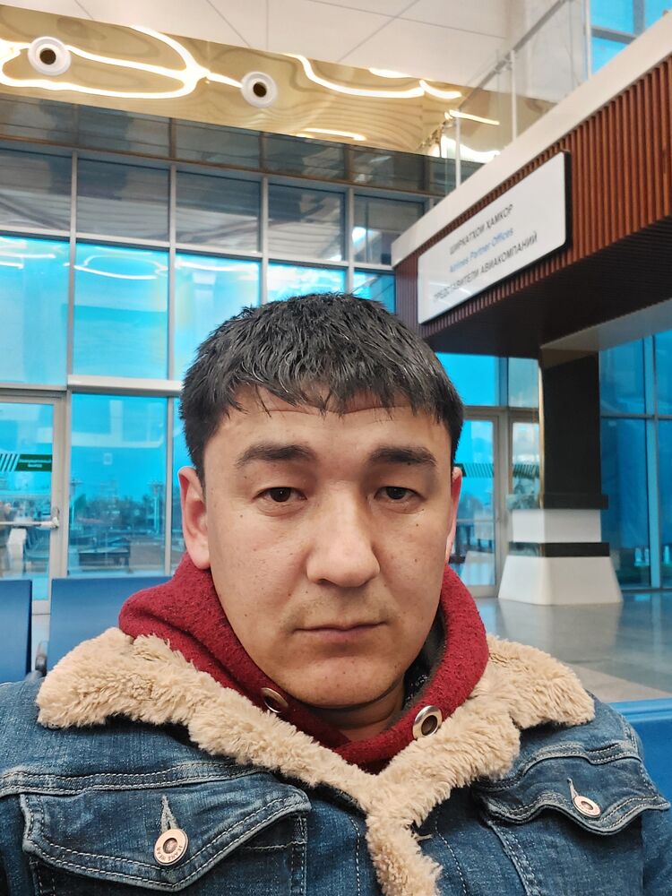 ���� 33184653 ������� �����, 31 ���, ���� ���������� � ������������