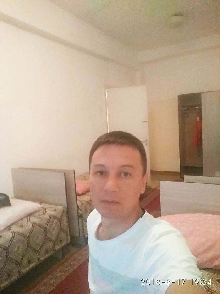  13380573  , 43 ,    