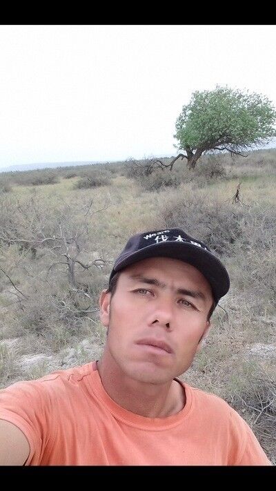 ���� 16487363 ������� Atabay, 42 ����, ���� ���������� � ������