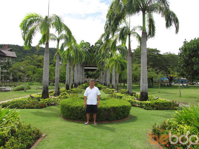 ���� 976093 ������� �����, 54 ����, ���� ���������� � ��������