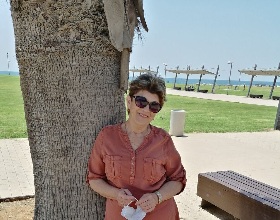  54063663  , 62 ,    --