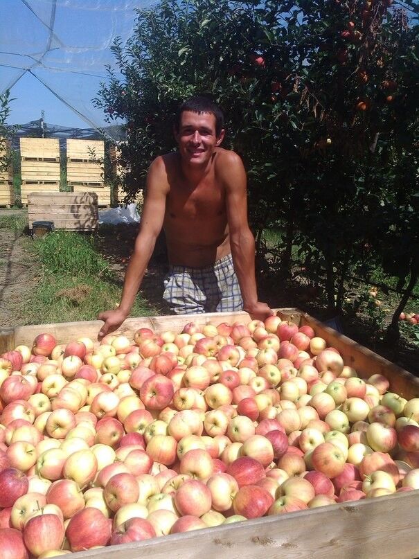 ���������� ������, ���� ������� ������, 33 ����, ������������ ��� ������