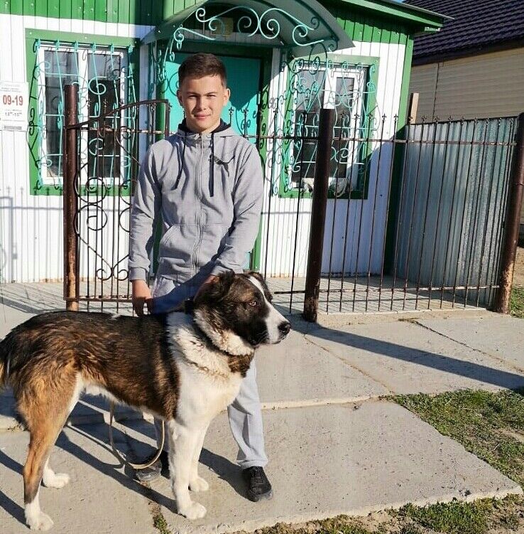 ���� 21978683 ������� ������, 29 ���, ���� ���������� � ������