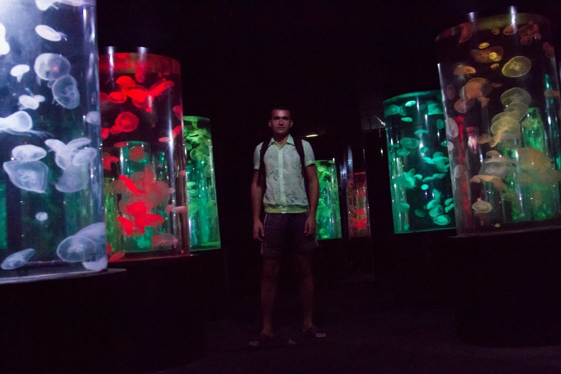 ���������� ���������, ���� ������� �����, 36 ���, ������������ ��� ������, ����� � ���������, c�������� ���������