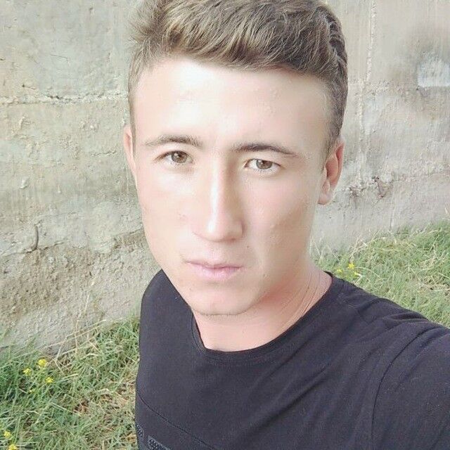  13978983  , 29 ,    