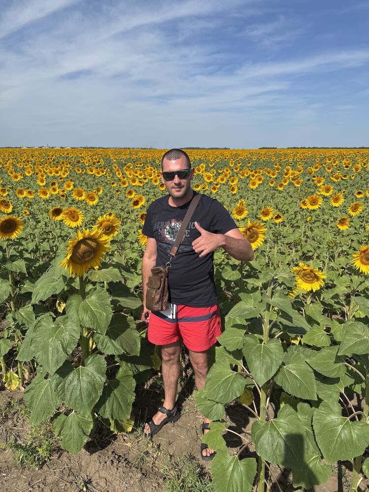 ���� 55372323 ������� �������, 43 ����, ���� ���������� � ������������