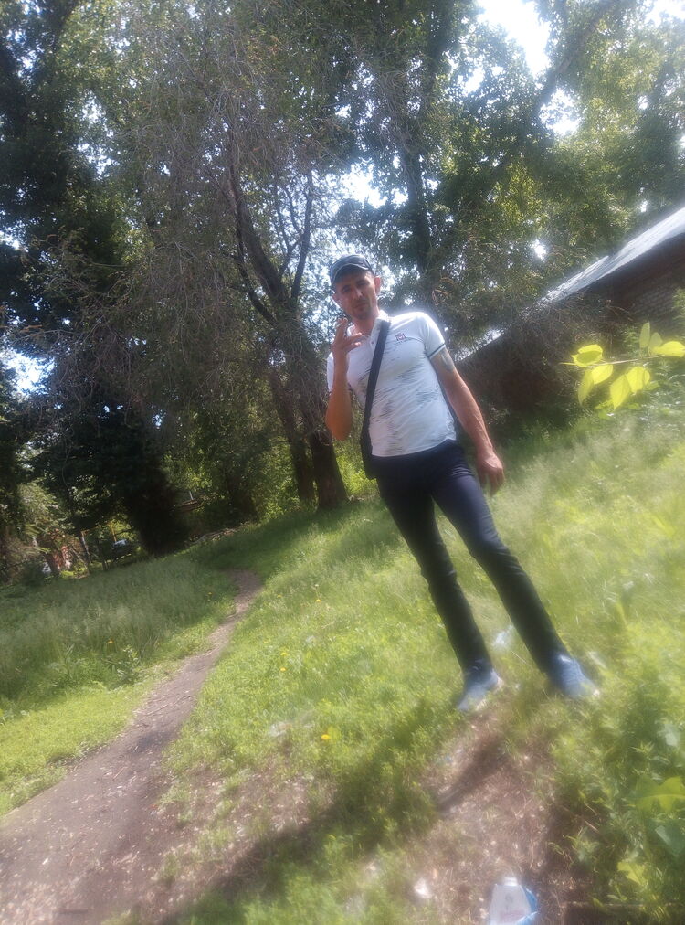  28465153  , 38 ,    
