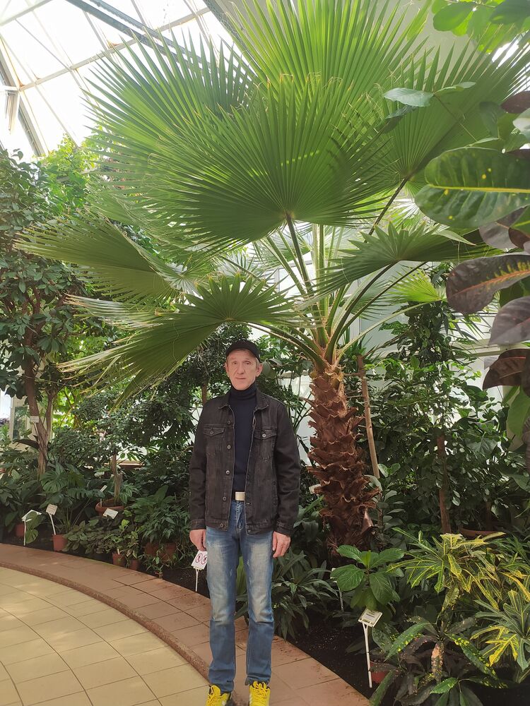 ���������� �����, ���� ������� �����, 54 ����, ������������ ��� ������, ����� � ���������, c�������� ���������