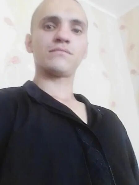  47056273  , 31 ,    
