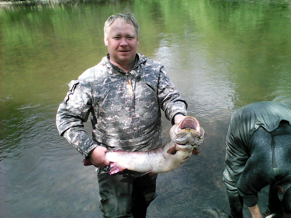 ���� 55622393 ������� ����, 48 ���, ���� ���������� � ������������-��-�����