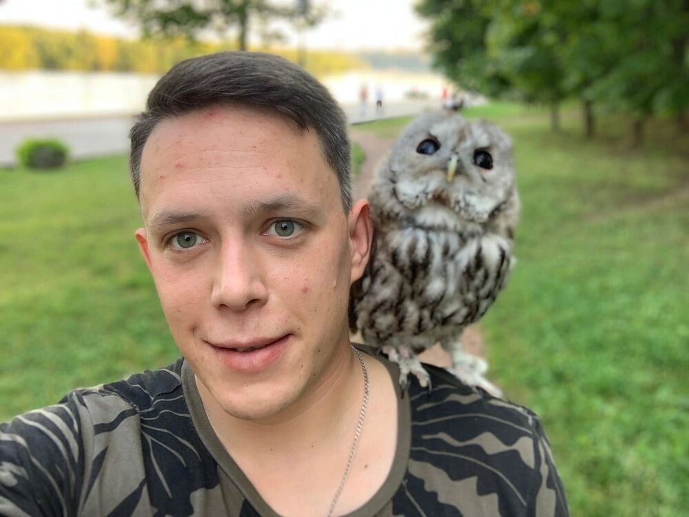 ���������� ������, ���� ������� �������, 34 ����, ������������ ��� ������, ����� � ���������, c�������� ���������